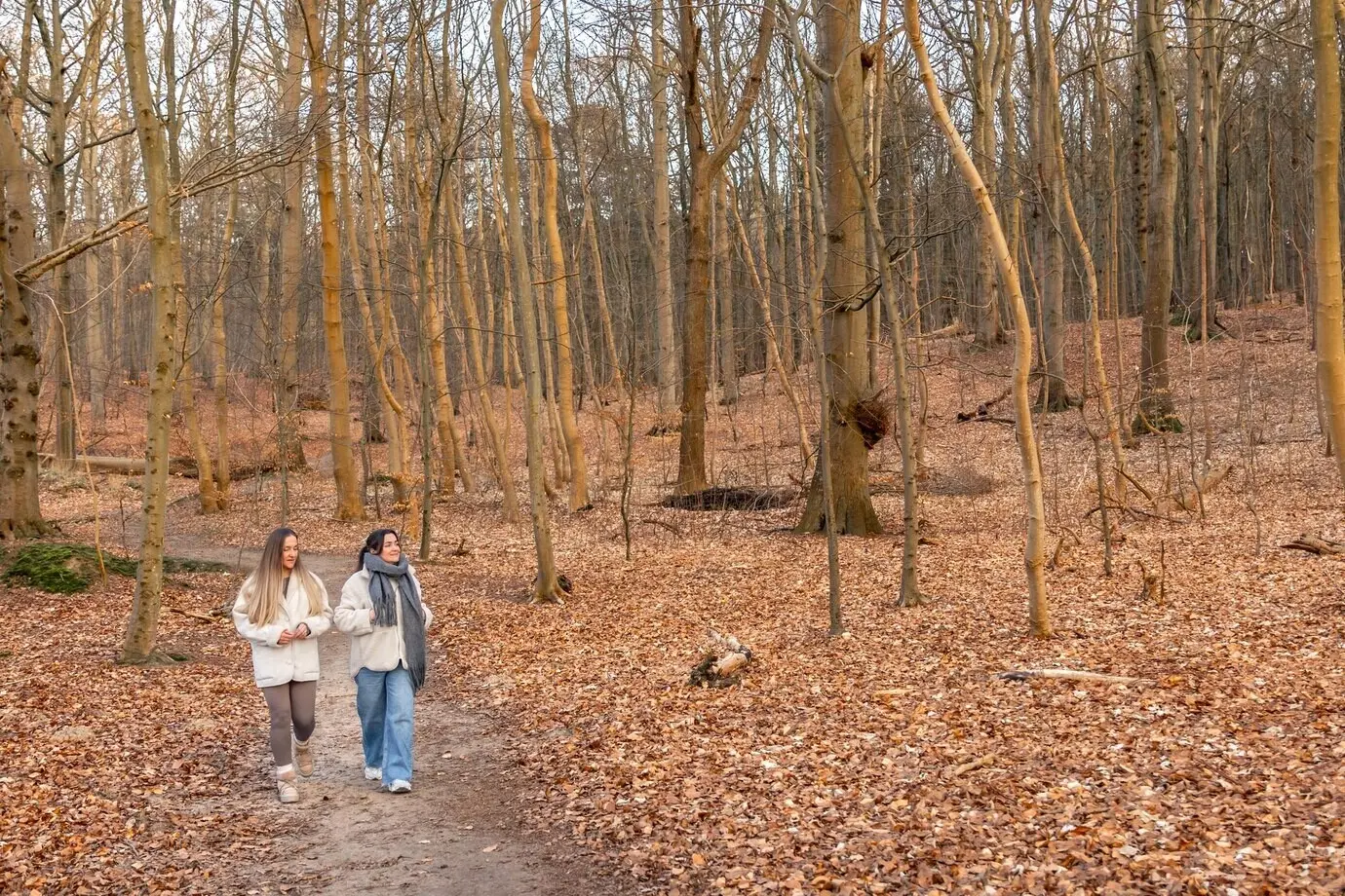 Zwei Frauen gehen im Wald spazieren, Natur und Erholung im Freien.