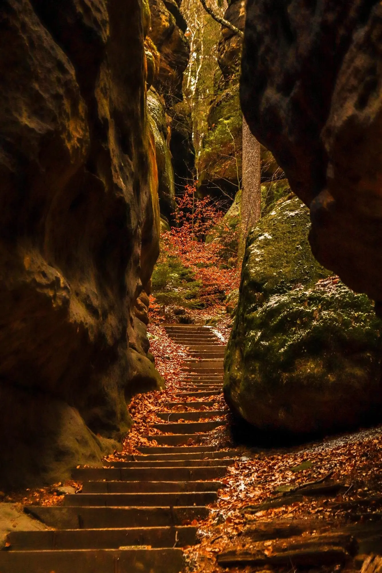 Hochformataufnahme einer Treppe zwischen riesigen Felsen im Wald des Nationalparks Sächsische Schweiz.